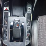 DS DS3 CrossBack Performance Line