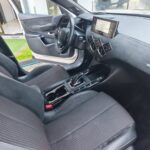 DS DS3 CrossBack Performance Line